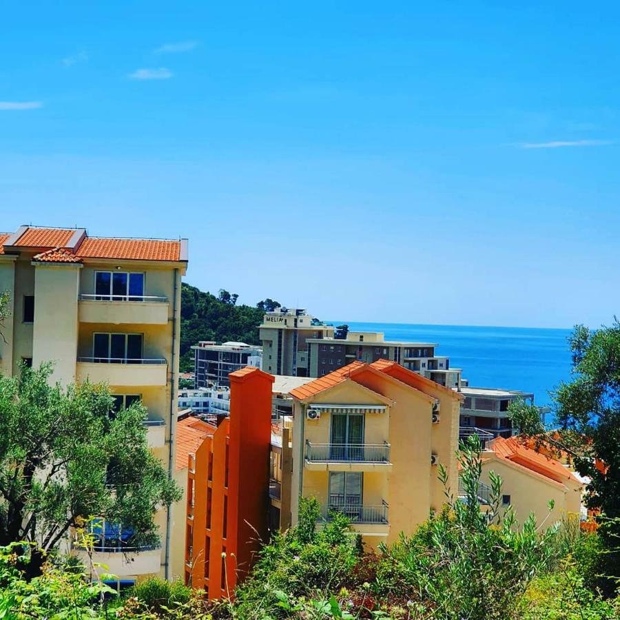 Panorama Petrovac Lejlighed Eksteriør billede